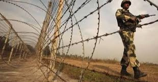 Two Bangladeshi youths shot dead by BSF near Tetulia border