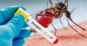 2 more die of dengue, 625 hospitalised in 24hrs