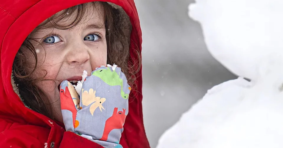 Northeast US digs out after massive snowstorm disrupts flights, closes schools