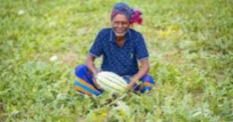 Govt to launch smart ‘Farmers Card’ on pilot basis soon: Minister Swapan