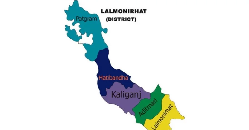 Uncle, nephew picked up by BSF in Patgram