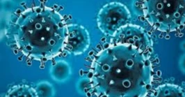 Govt issues 11-point directives to prevent spread of Covid-19