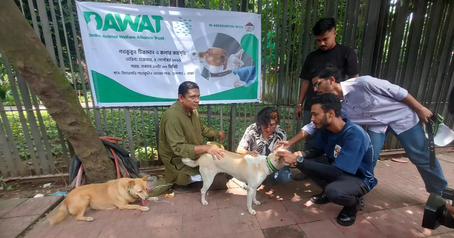Gulshan Society, DAWAT launch drive to vaccinate, collar stray dogs in Dhaka
