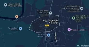 20 injured after bus falls into roadside ditch in Shariatpur