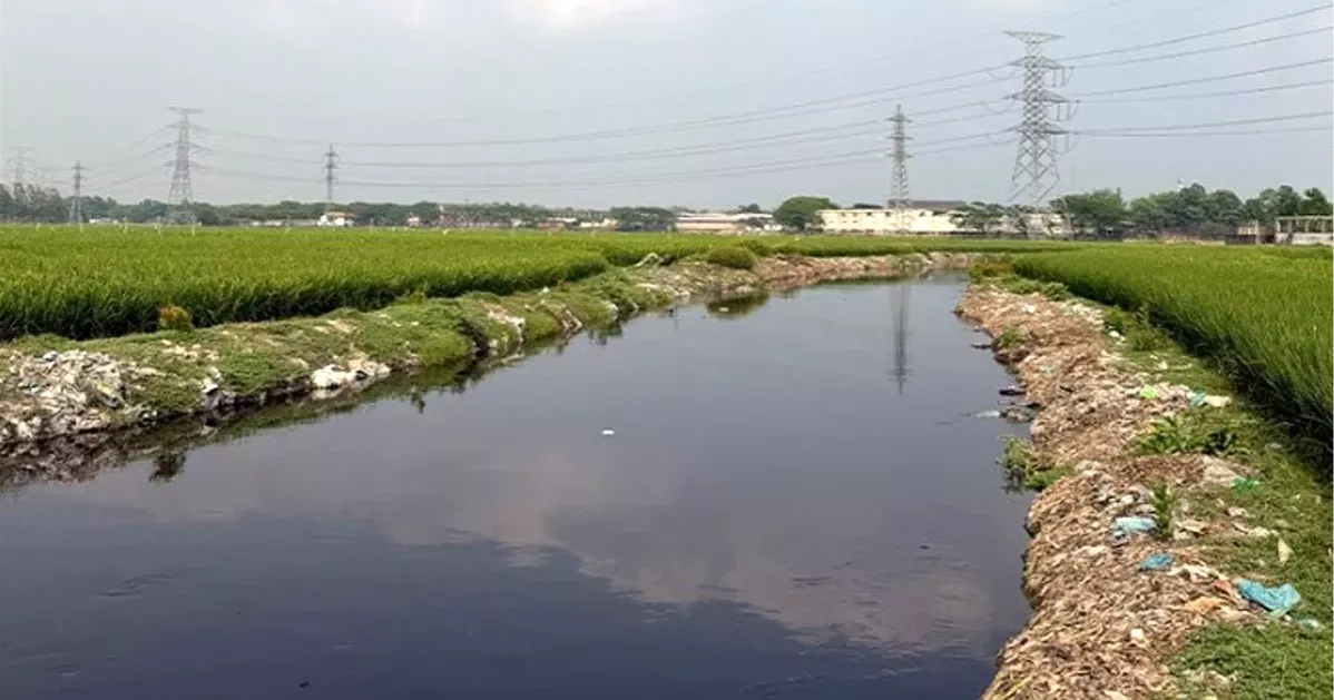 The Labandaha River: Vanishing Under Encroachment and Pollution
