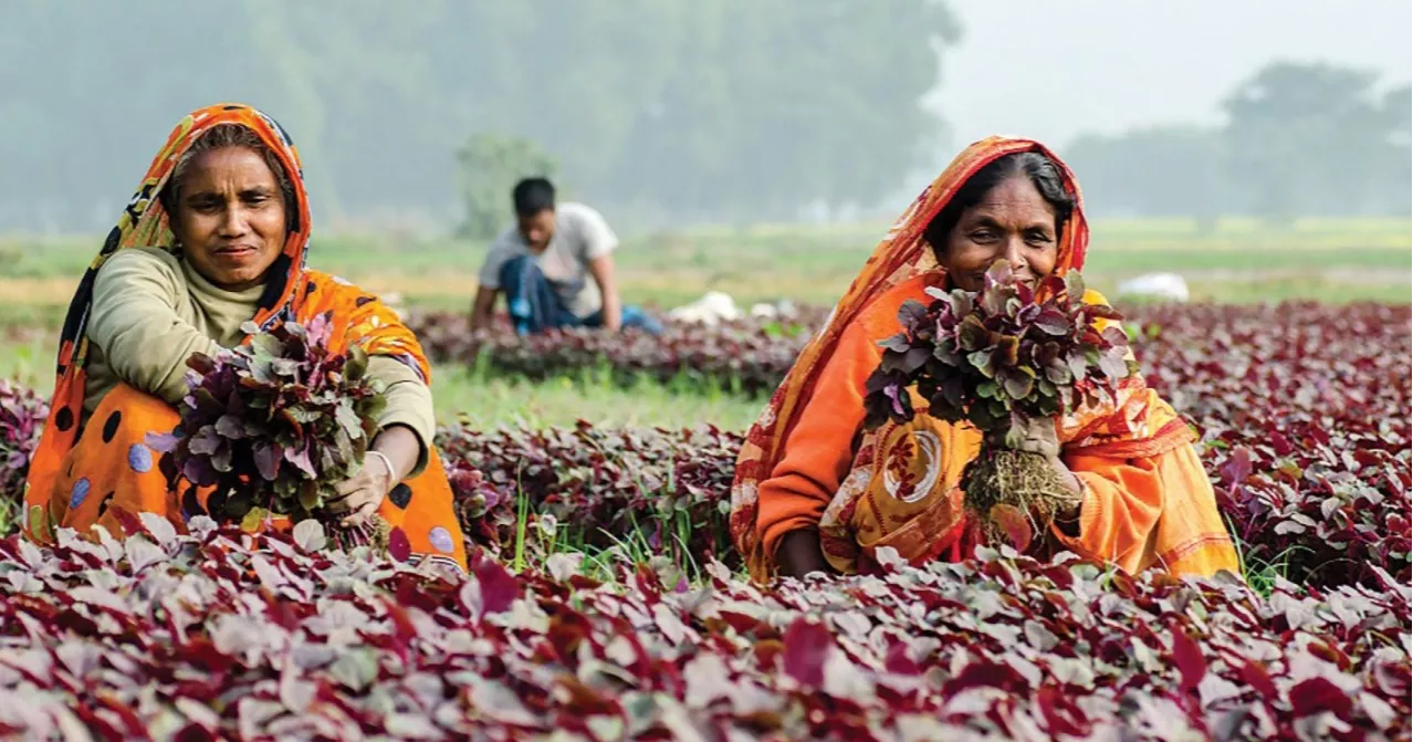 Women farmers seek recognition, equal access at Dhaka seminar