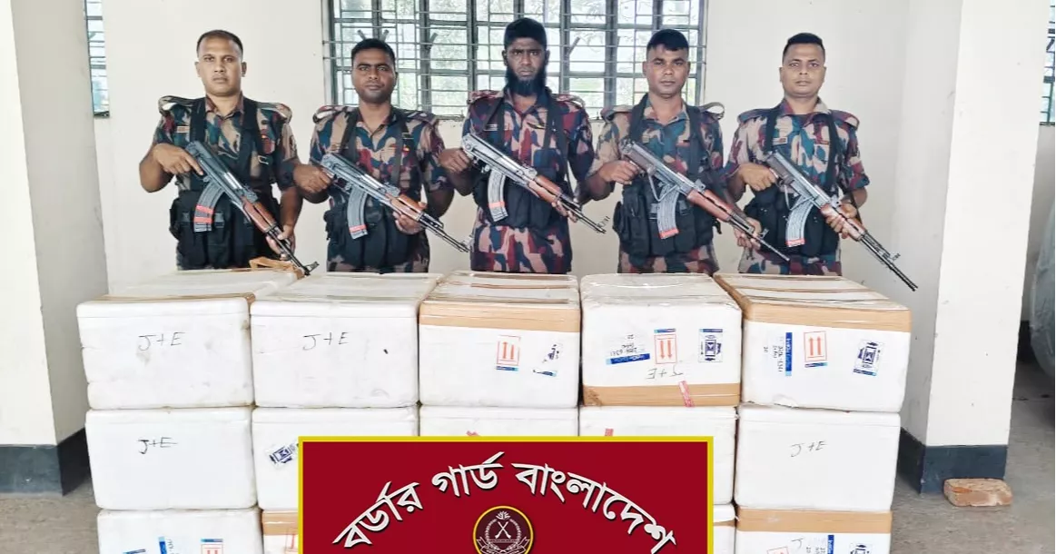 BGB seizes Tk 2cr Indian prawn fry in Habiganj