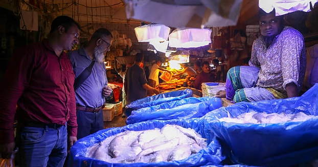 Climate change cuts Bangladesh’s hilsa haul, raising long-term supply risks