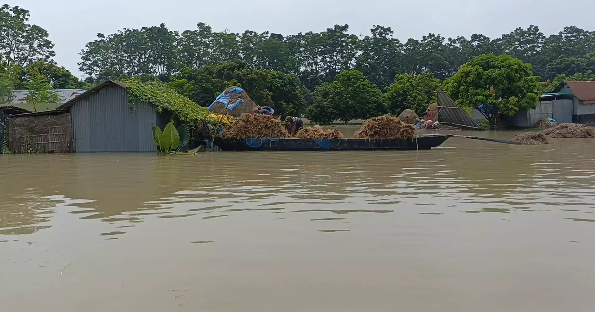 Low-lying areas inundated as Chapainawabganj rivers swell, 4,350 families stranded