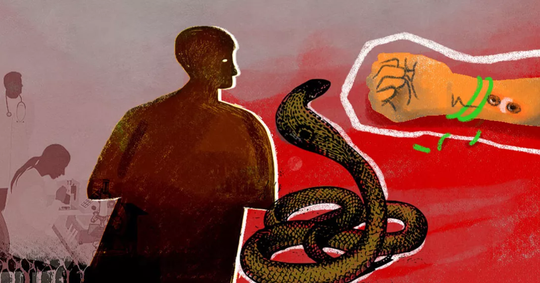 8-year old girl dies in Meherpur snakebite