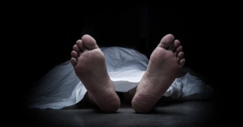 Youth hacks grandmother to death in Mymensingh