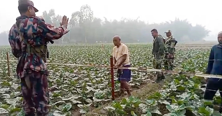 BSF ‘attempts to strengthen barbed wire fence’ with bamboo in Lalmonirhat border
