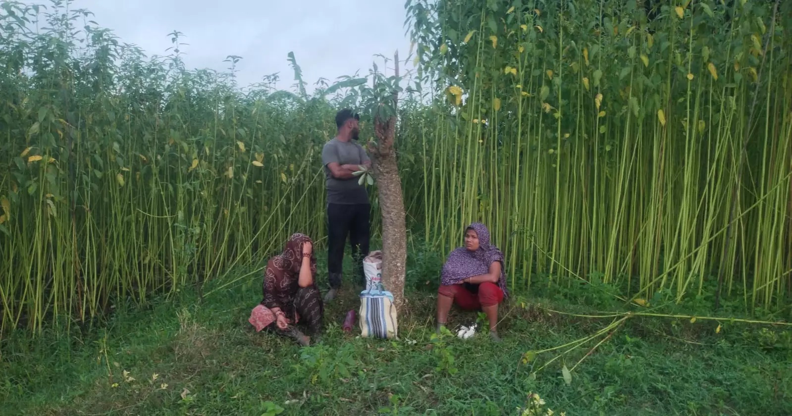 BGB foils BSF bid to push three individuals through Chuadanga border