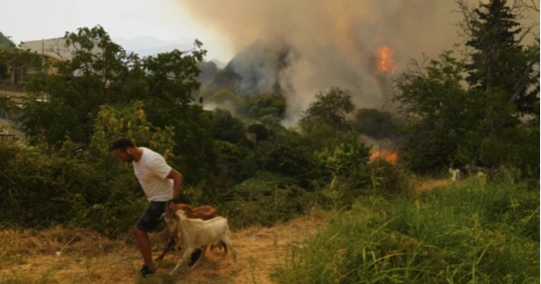 Wildfires kill at least 3, displace thousands across southern Europe