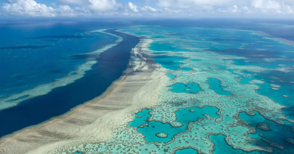 Climate crisis driving divers to restore Great Barrier Reef: Australian Study