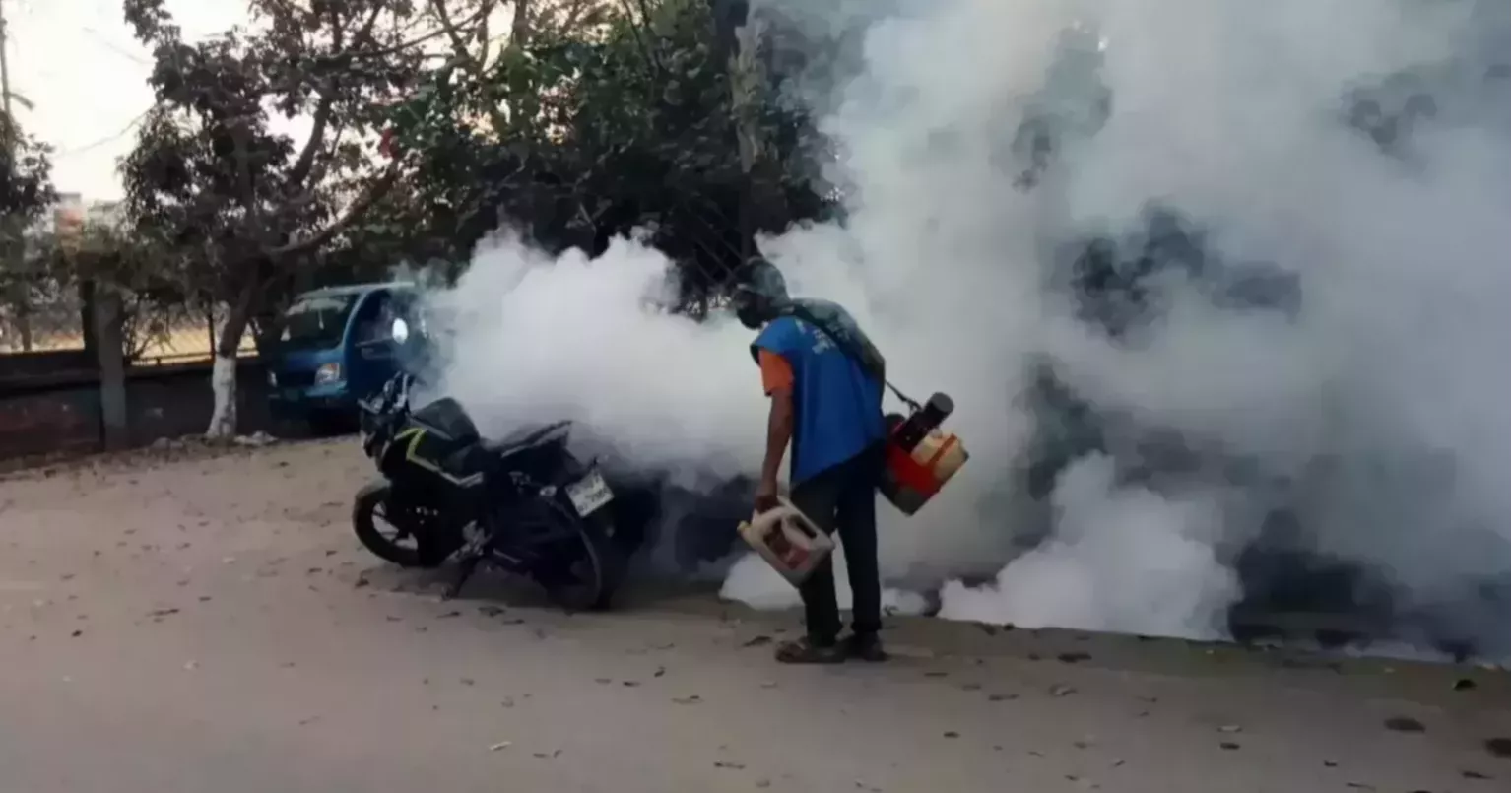3 more die of dengue; 782 hospitalised