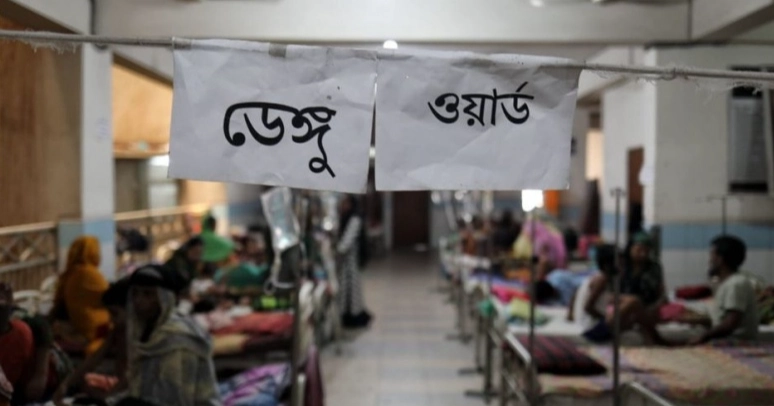 9 dengue patients hospitalised in 24hrs