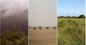 Early humans survived in a range of extreme environments before global migration, study says