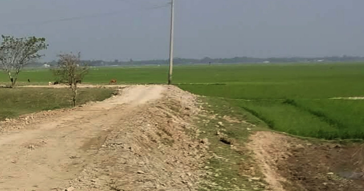 Funding delays stall haor embankments, putting Sunamganj’s Boro harvest at risk