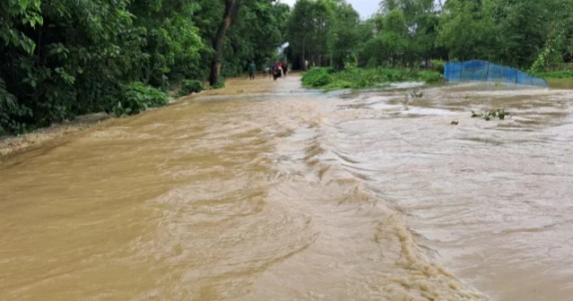 Flood inflicts over Tk 2000 crore loss on Bangladesh’s fisheries and livestock sectors: Adviser Farida