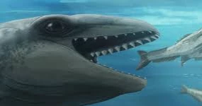 Scientists uncover ancient whale with Pokémon-like face and sharp teeth