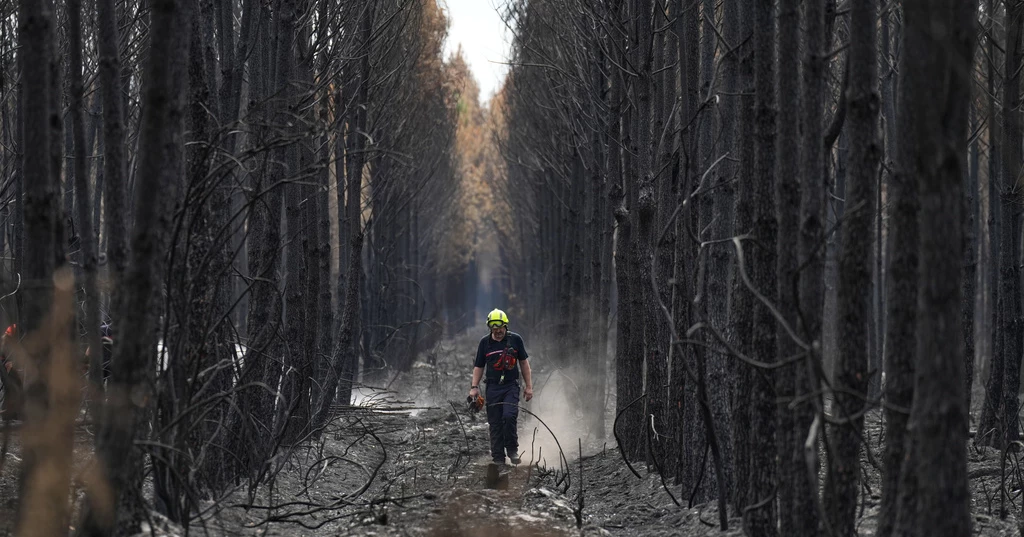 French wildfire near Bordeaux contained as firefighters battle separate blaze in Provence