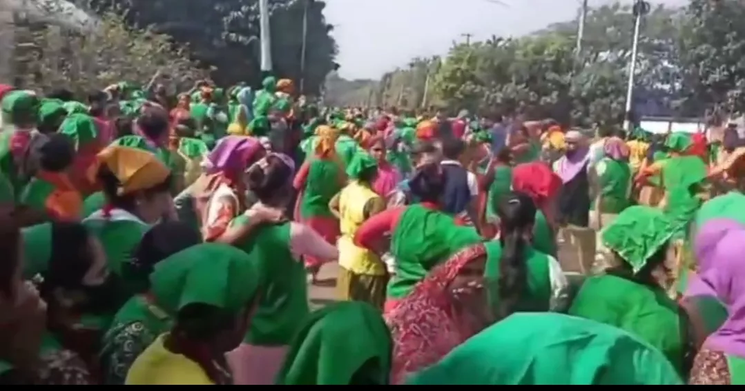 Scores of female workers at Cumilla EPZ fall unconscious