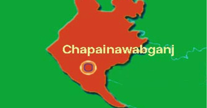 BSF pushes 8 people across Bholahat border into Chapainawabganj