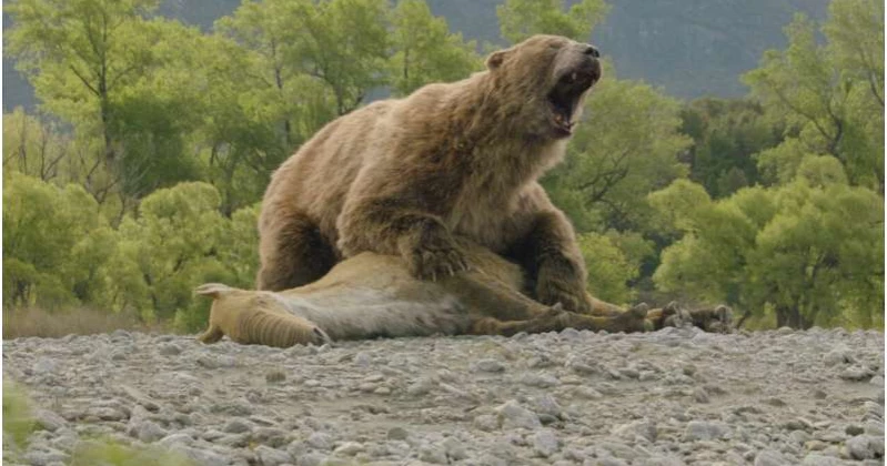 A foot-tall elephant? Apple TV’s ‘Prehistoric Planet: Ice Age’ unveils extraordinary creatures