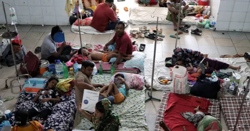 2 more die of dengue, 455 hospitalised in 24 hours