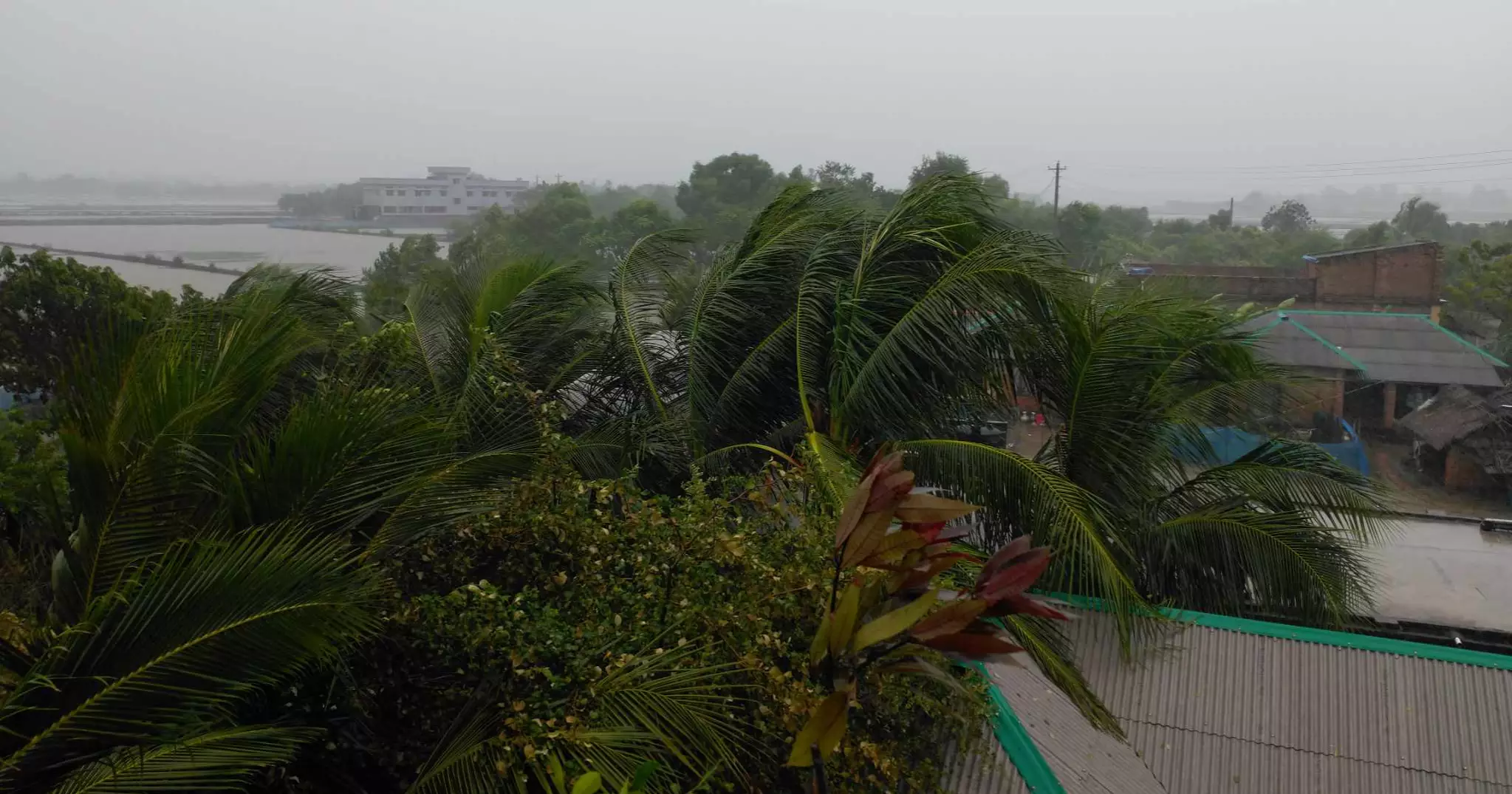 Cyclone Midhili: Gusty winds with heavy rain persist across the coastal region