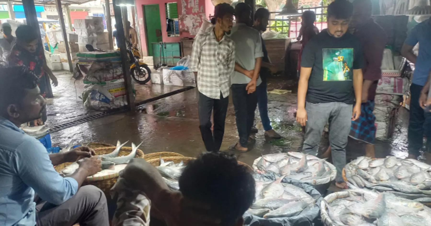 Hilsa prices remain high in Chandpur despite peak season, supply still low