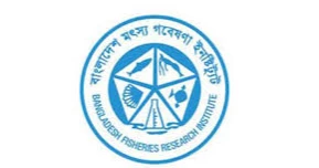 Fisheries research must be more innovative, action-oriented: BFRI board