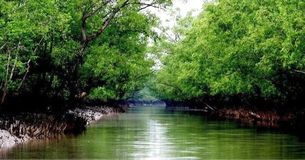 Tourism, fishing banned in Sundarbans for three months