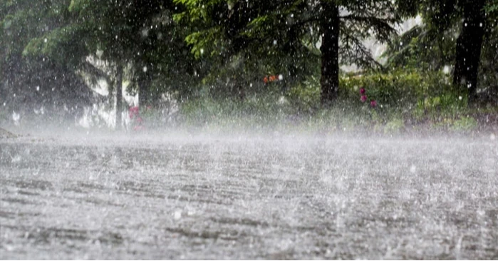 Rain or thundershowers likely in parts of Bangladesh: BMD