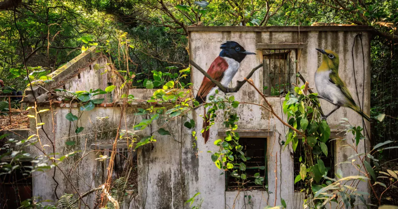 Bird murals bring Hong Kong’s migratory stories to life in Lantau’s forgotten village