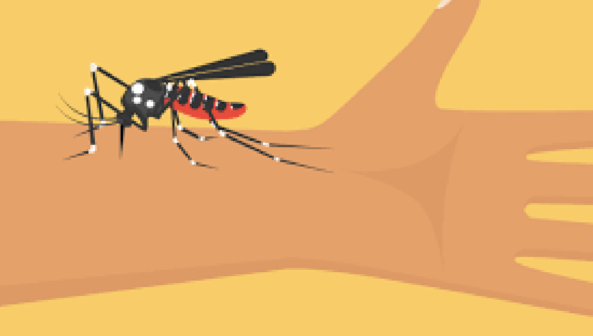 361 new dengue patients hospitalised in 24 hrs