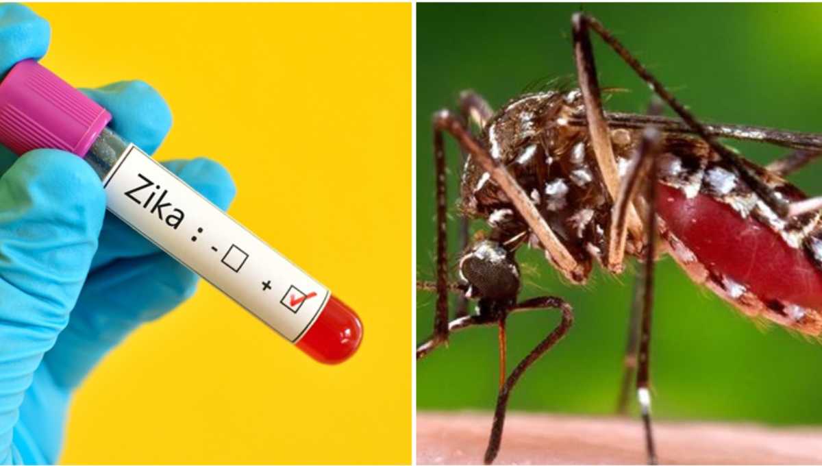 31 cases of Zika virus reported in central India