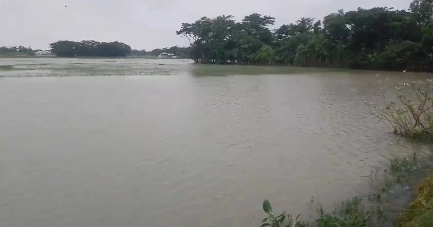 Incessant rainfall washes away crops and fish farms in Bhola, causes waterlogging