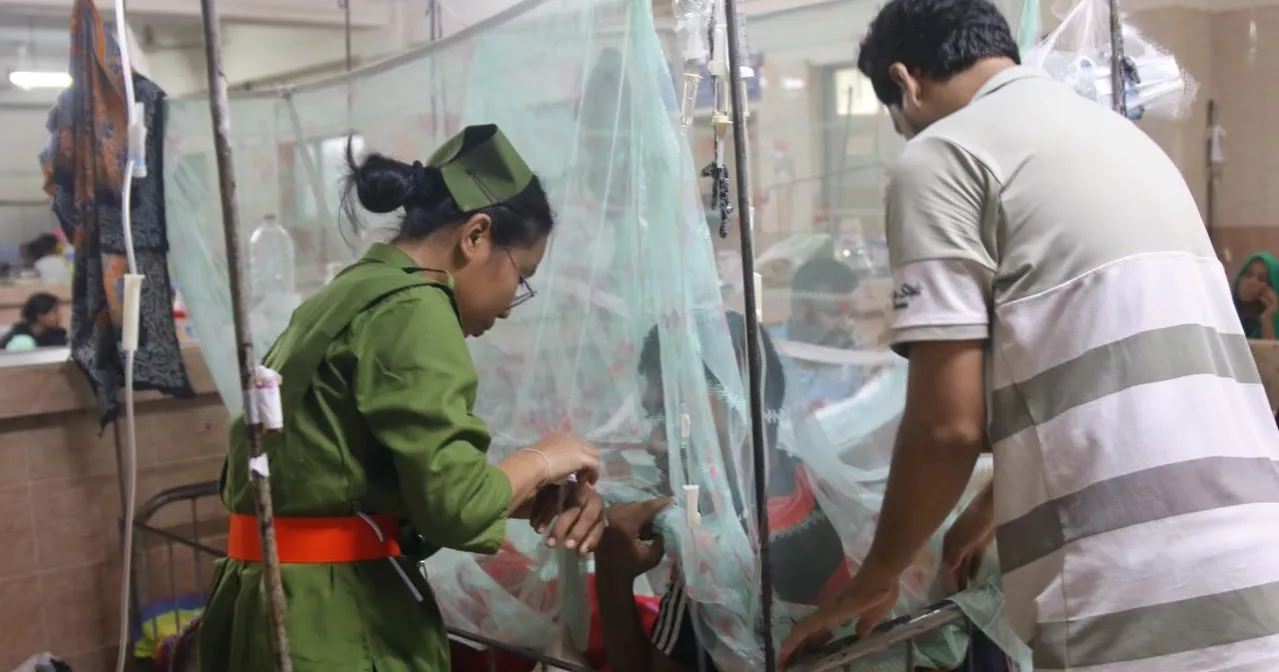 Dengue death toll crosses 200 in Bangladesh this year