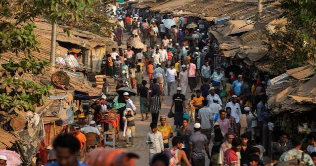 International Migration