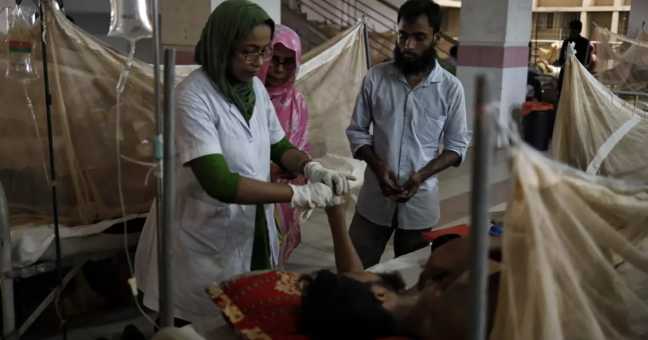 15 more dengue patients hospitalised in 24hrs