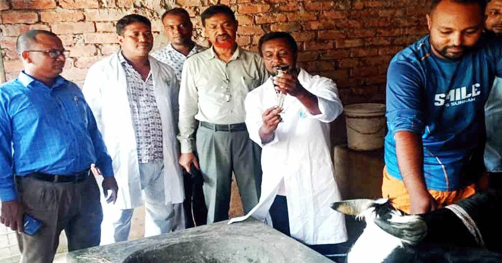 Anthrax cases reach 17 in Rangpur