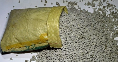 Govt approves urea, TSP imports to ensure steady agricultural supply