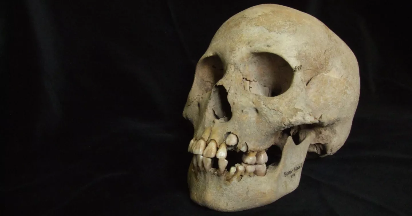 Ancient Siberian teeth reveal plague existed more than 5,500 years ago