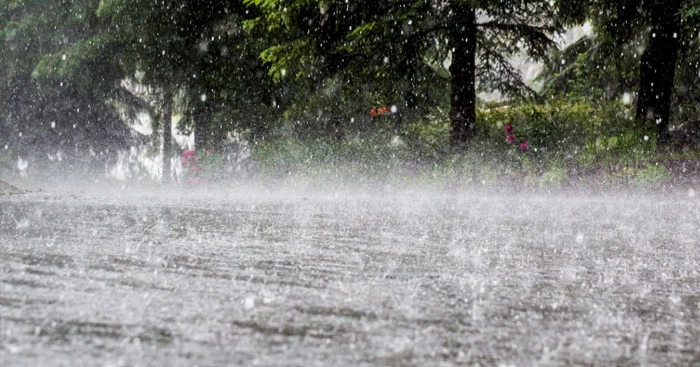 Rain or thundershowers likely in parts of Bangladesh: BMD