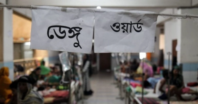 Dengue: Two more die ; 715 hospitalised