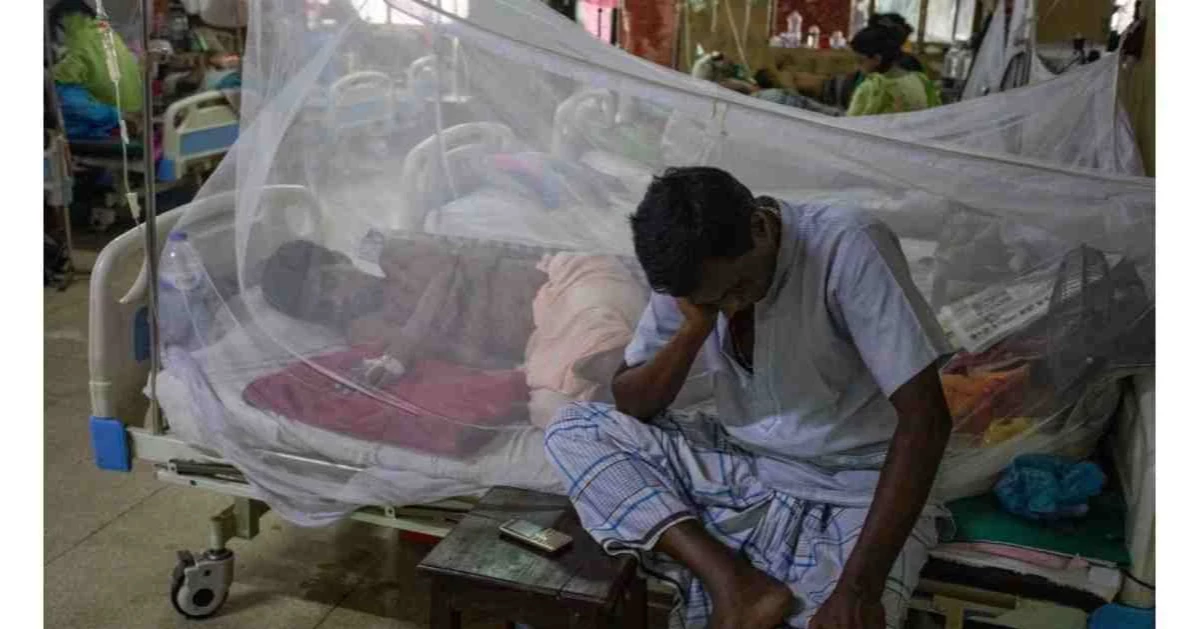 Dengue: 31 more patients hospitalised in 24hrs