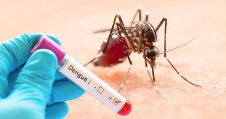 UNDP, DNCC launch  data-driven Dengue dashboard