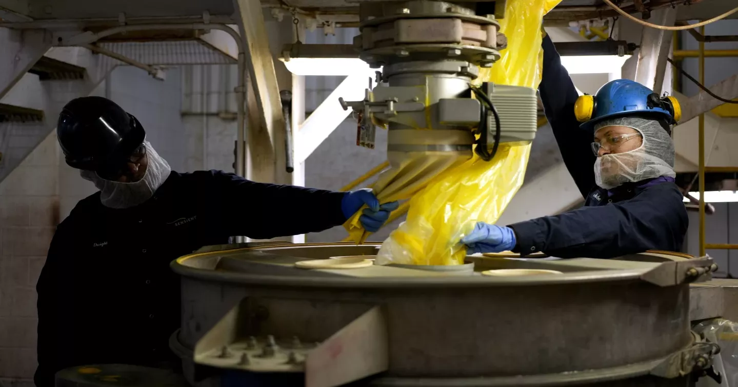 How bugs and beet juice could play roles in the race to replace artificial dyes in food